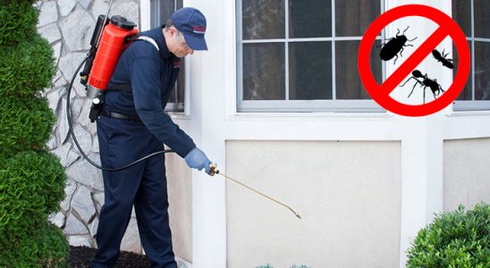 Tirebolu Böcek İlaçlama böcek ilaçlama ve haşere kontrolü — ilaclama-tr.com